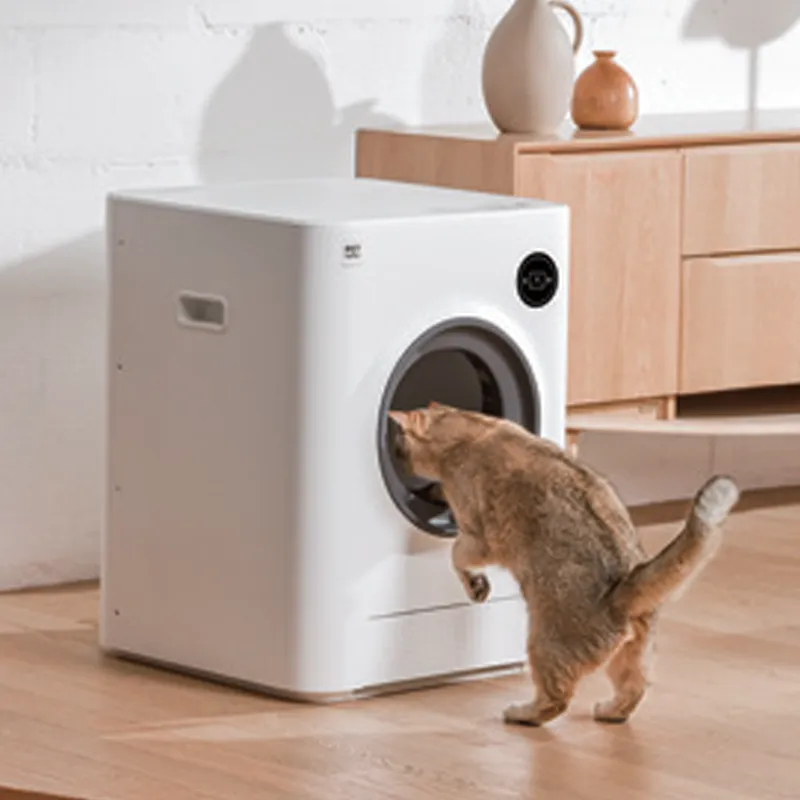 Großhandelslieferant für intelligentes Katzenstreu